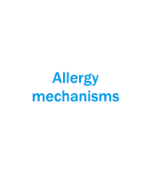 Allergy mechanisms