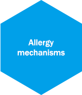 Allergy mechanisms