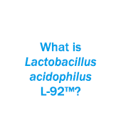 What is Lactobacillus acidophilus L-92™?