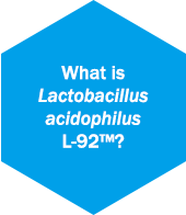 What is Lactobacillus acidophilus L-92™?