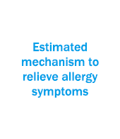 Estimated mechanism to relieve allergy symptoms