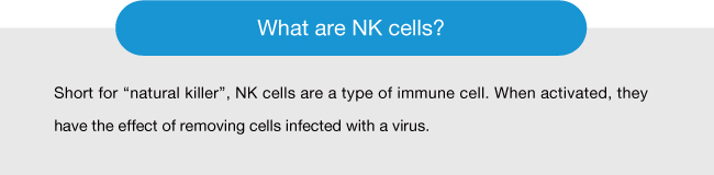 What are NK cells?